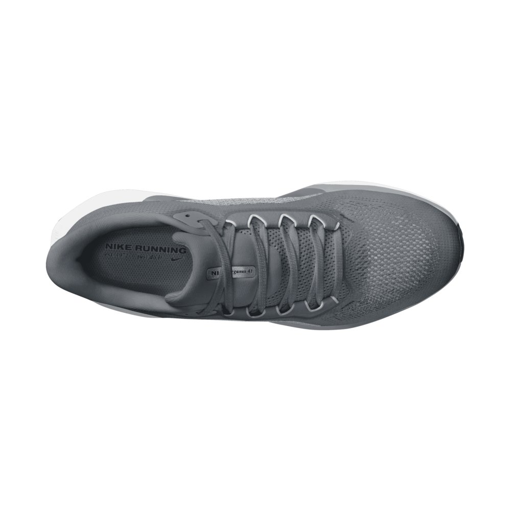 Nike Pegasus 41 Laufschuhe Herren