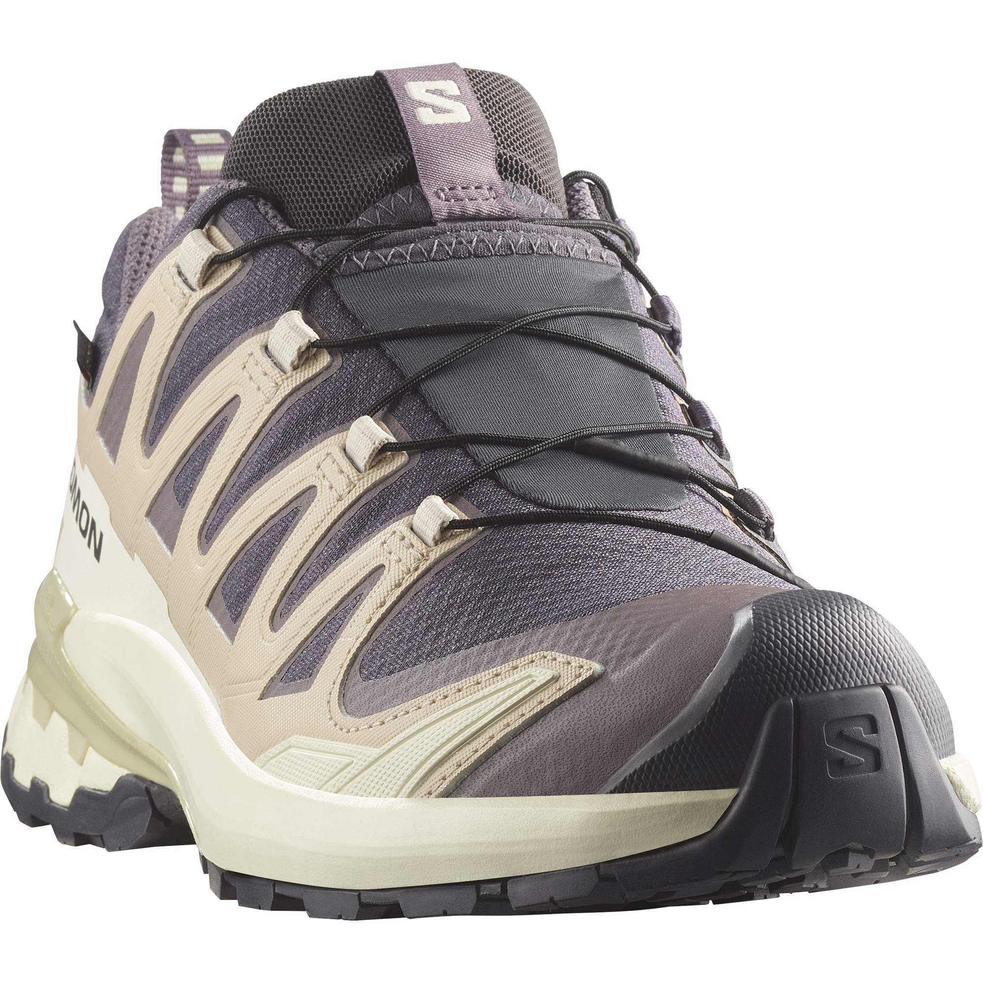 Salomon XA PRO 3D V9 GORE-TEX Trailrunning Schuh Damen