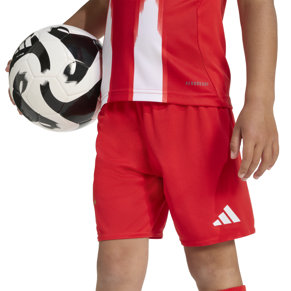 Adidas FC Bayern München 25/26 Kids Mini-Heimausrüstung