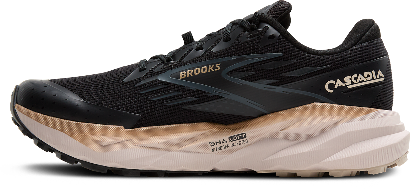 Brooks Cascadia 19 GTX Trailrunningschuhe Herren