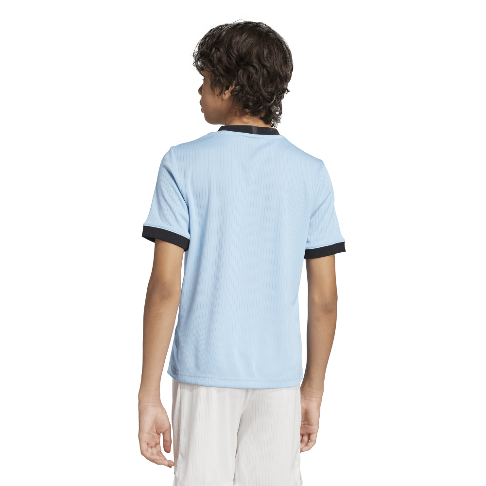 Adidas Deutschland Anniversary Kids Trikot